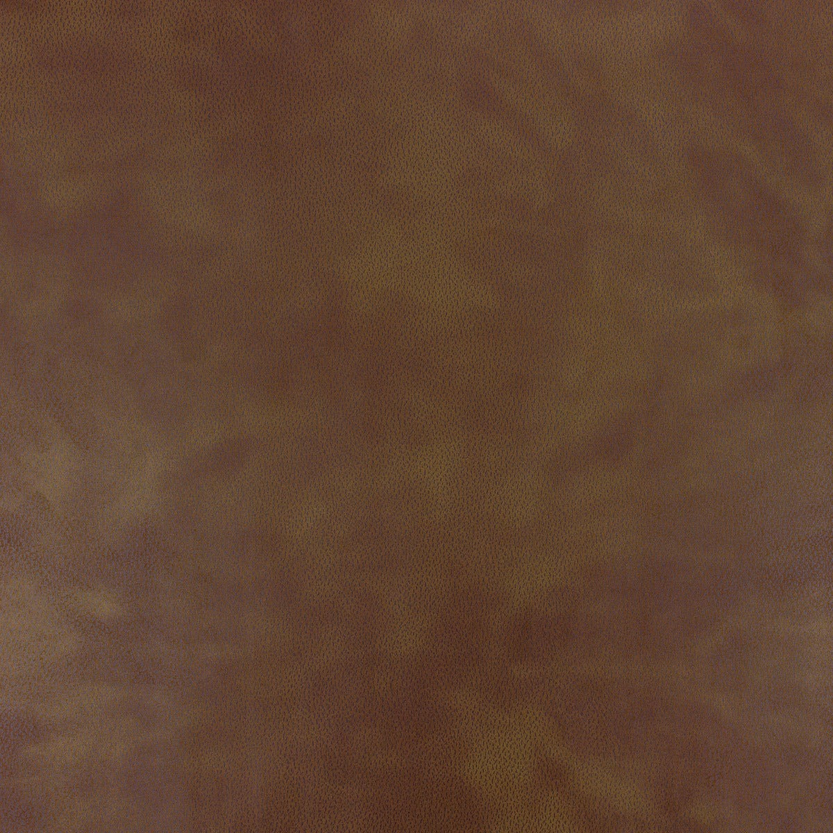 Richloom TONTINE LEATHER - Home Décor Fabric
