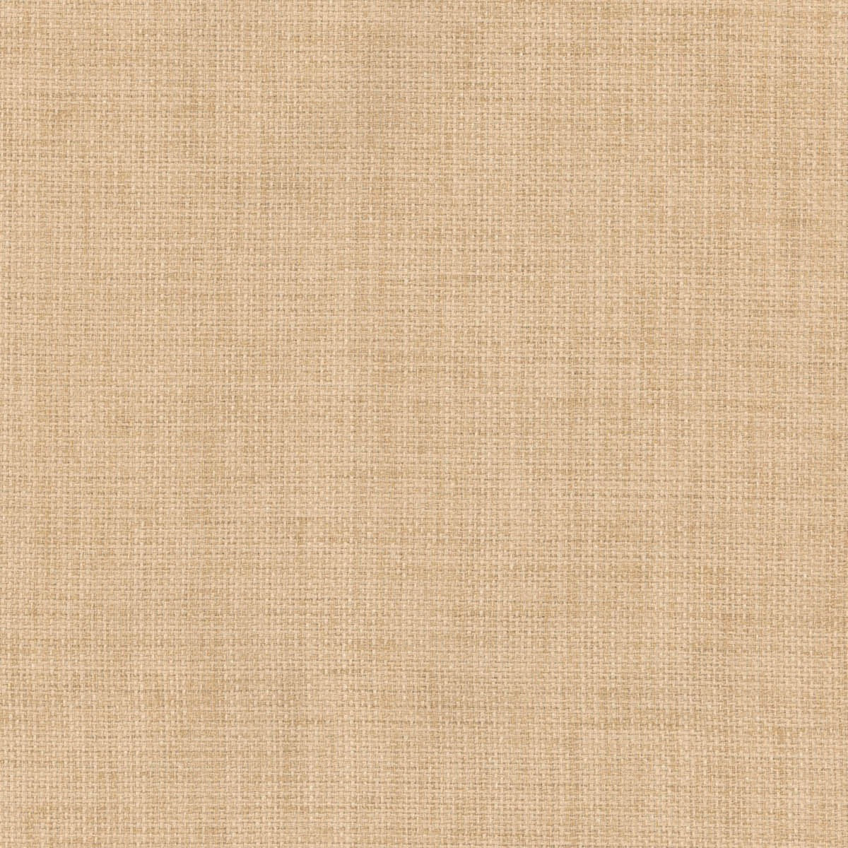 Richloom Solarium RAVE - Outdoor/Indoor Fabric