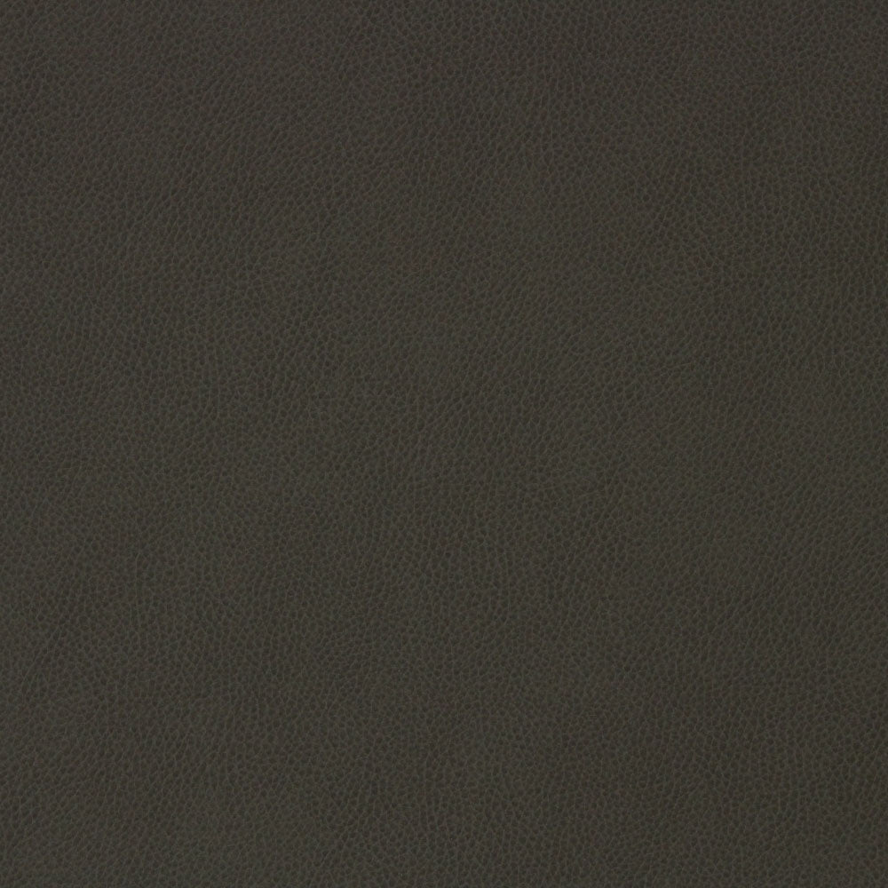Richloom DALTON - Faux Leather