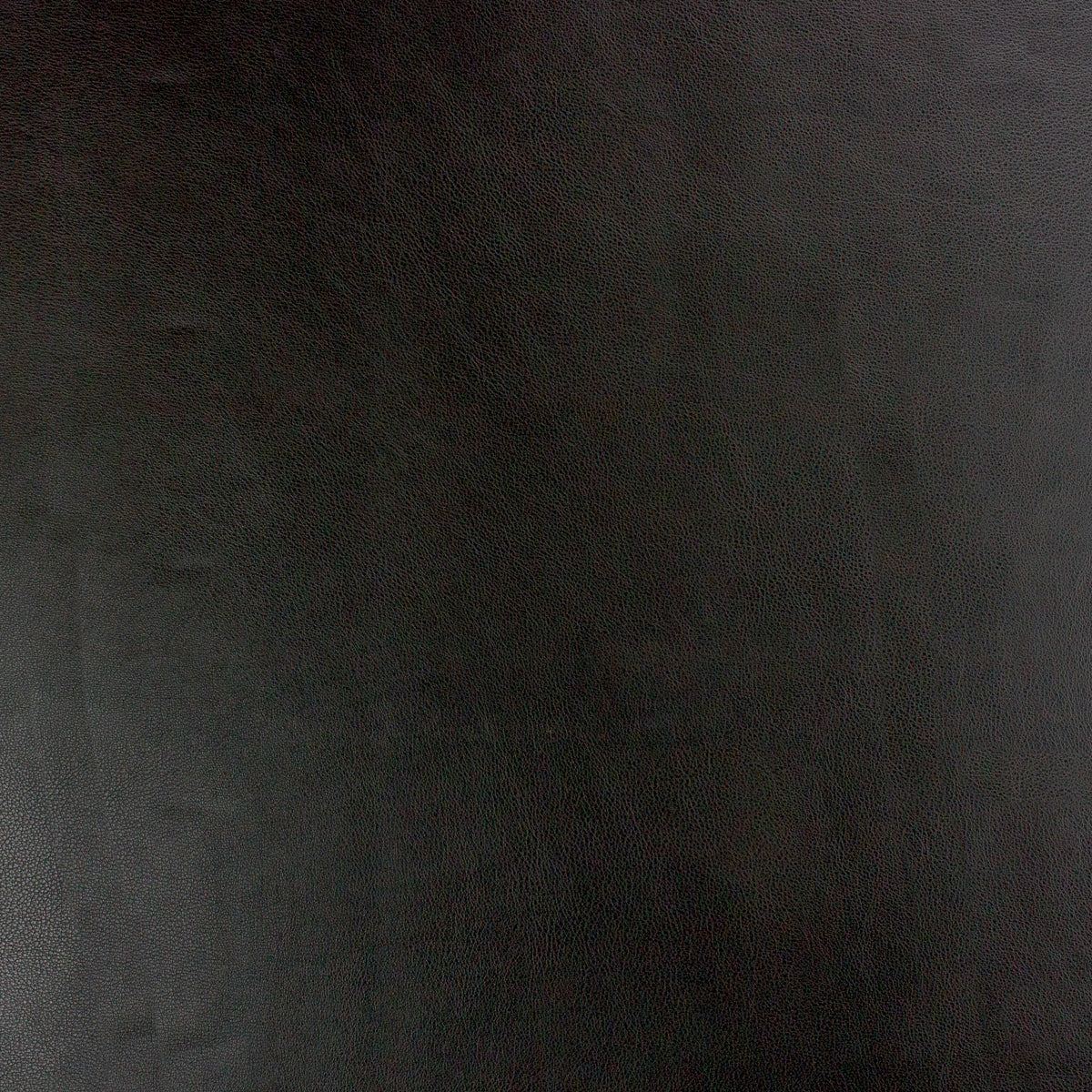 Richloom KENTON BLACK - Faux Leather