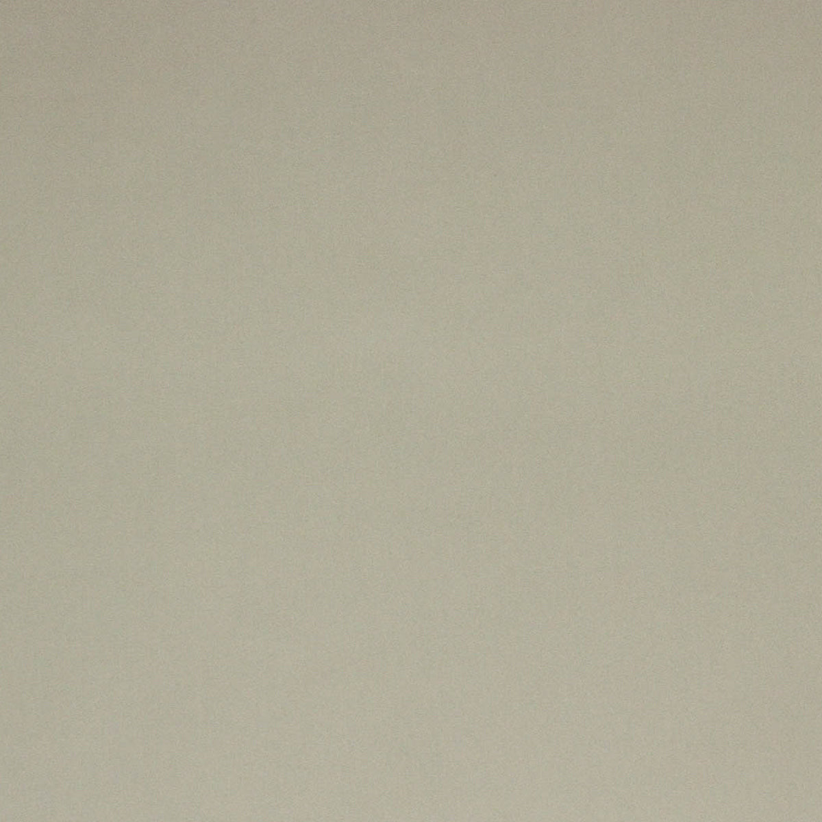 Richloom SAN SABASTIAN - Velvet / Home Décor Fabric