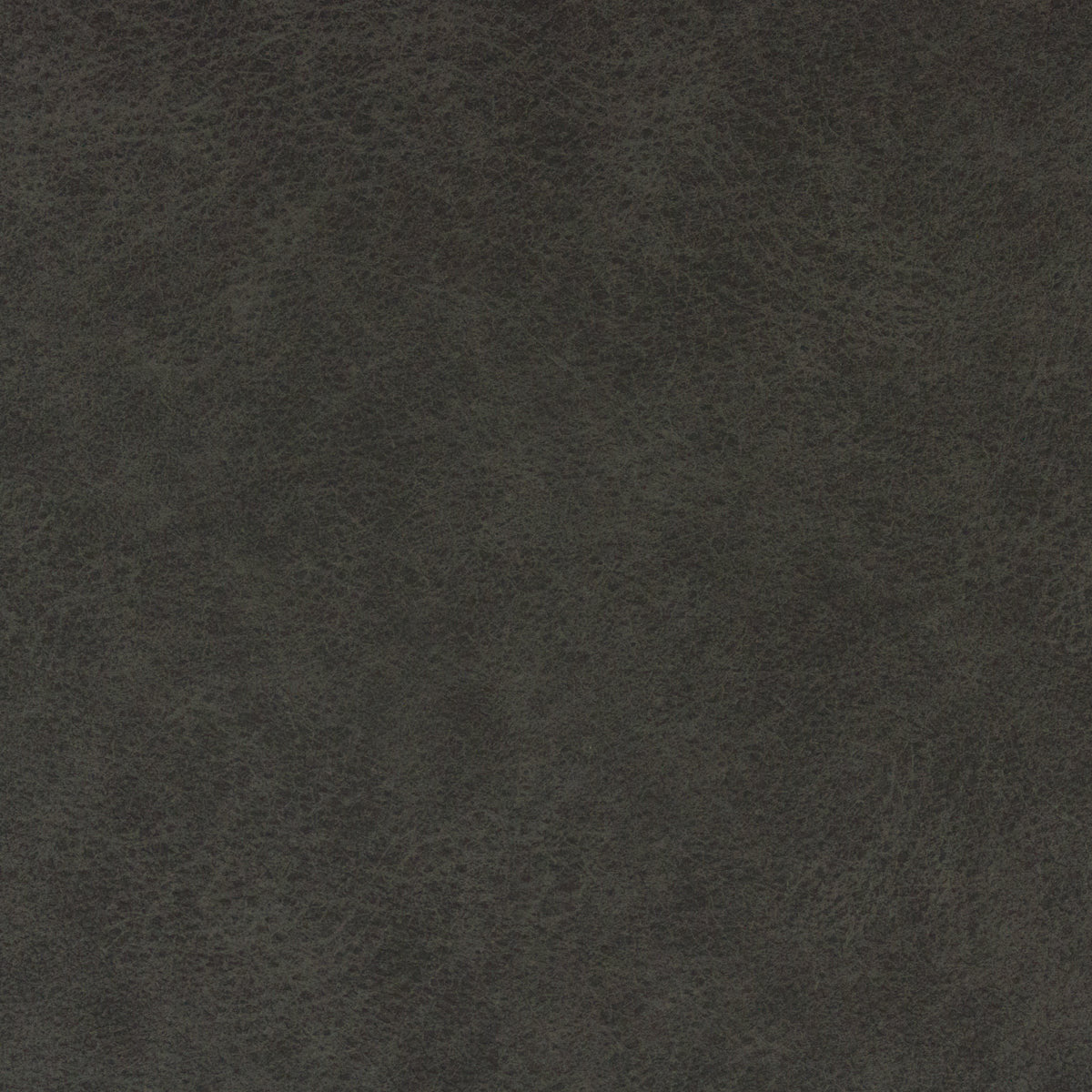 Richloom GROGAN ONYX - Faux Leather
