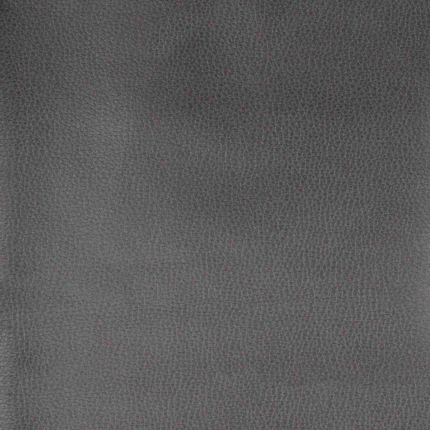 Richloom CONSTANT - Faux Leather