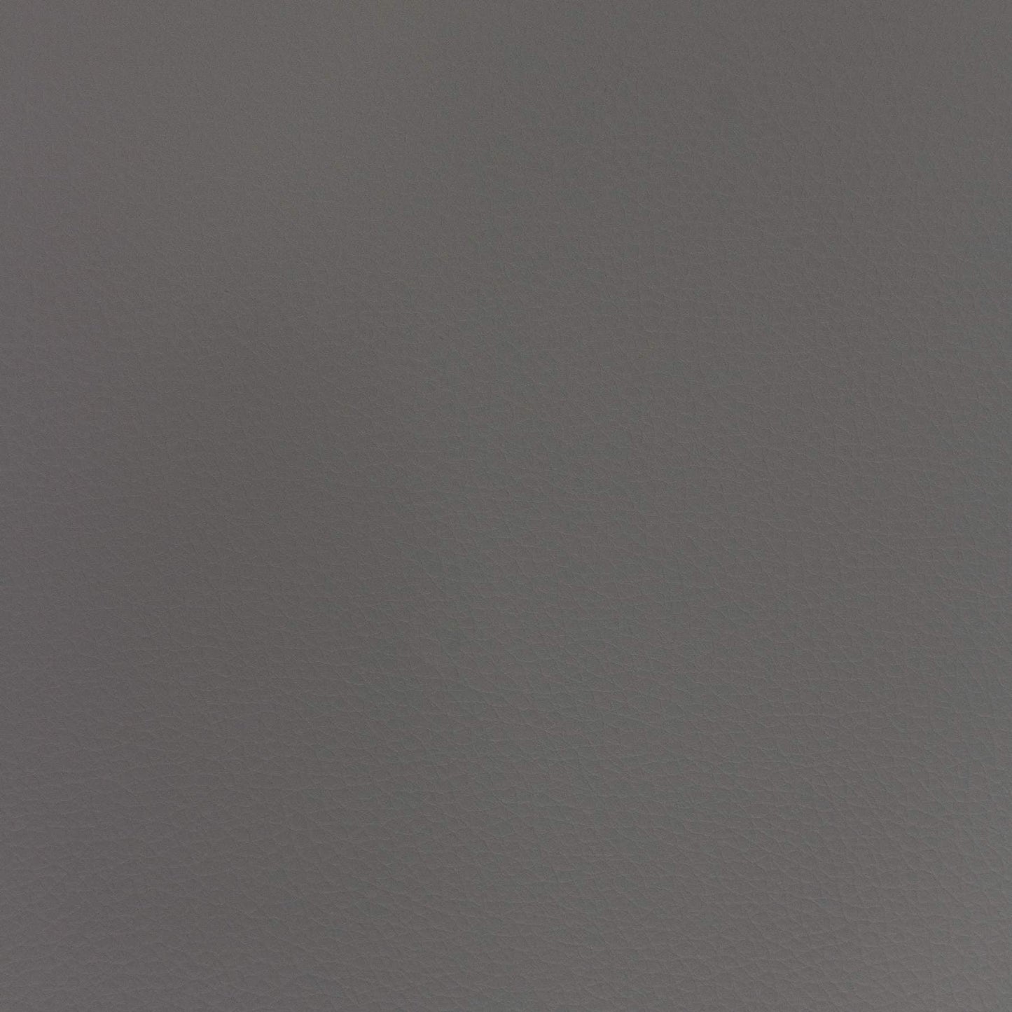 Richloom CONSTANT - Faux Leather