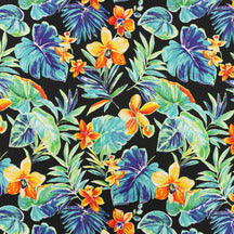 Richloom Solarium BEACHMAN CAVIAR - Outdoor/Indoor Fabric