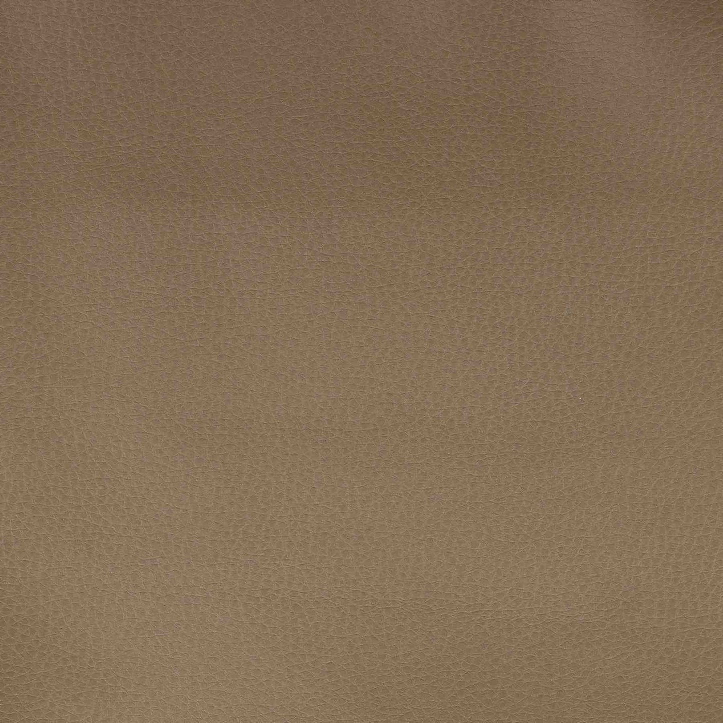 Richloom CONSTANT - Faux Leather