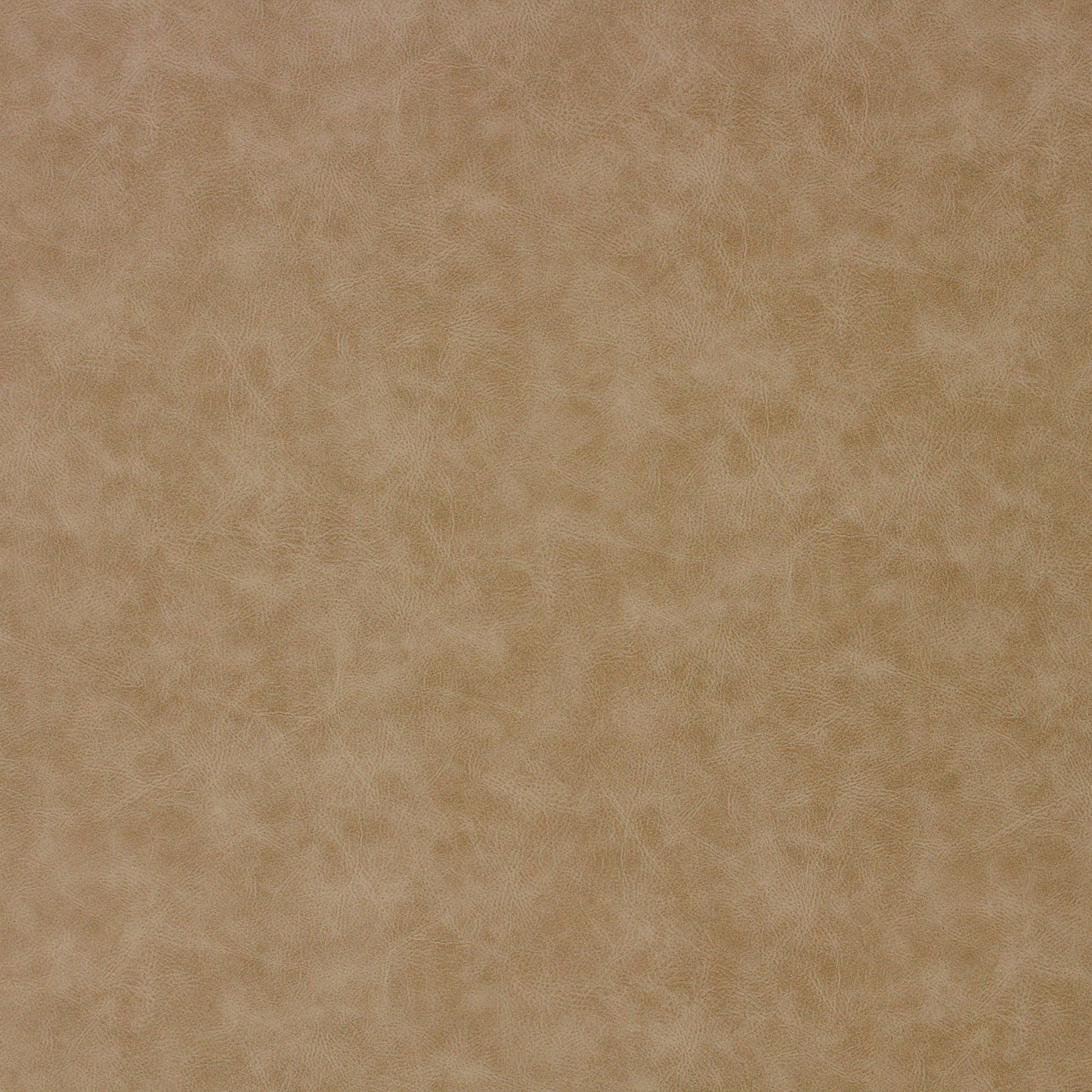 Richloom ATTESA - Faux Leather