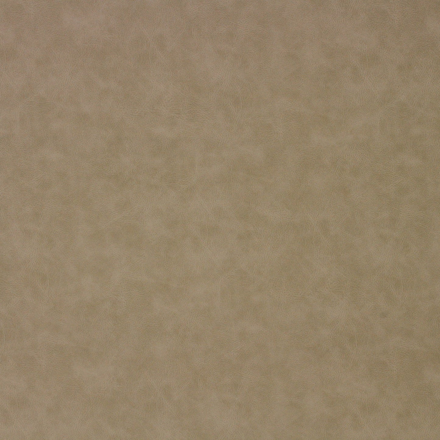 Richloom ATTESA - Faux Leather