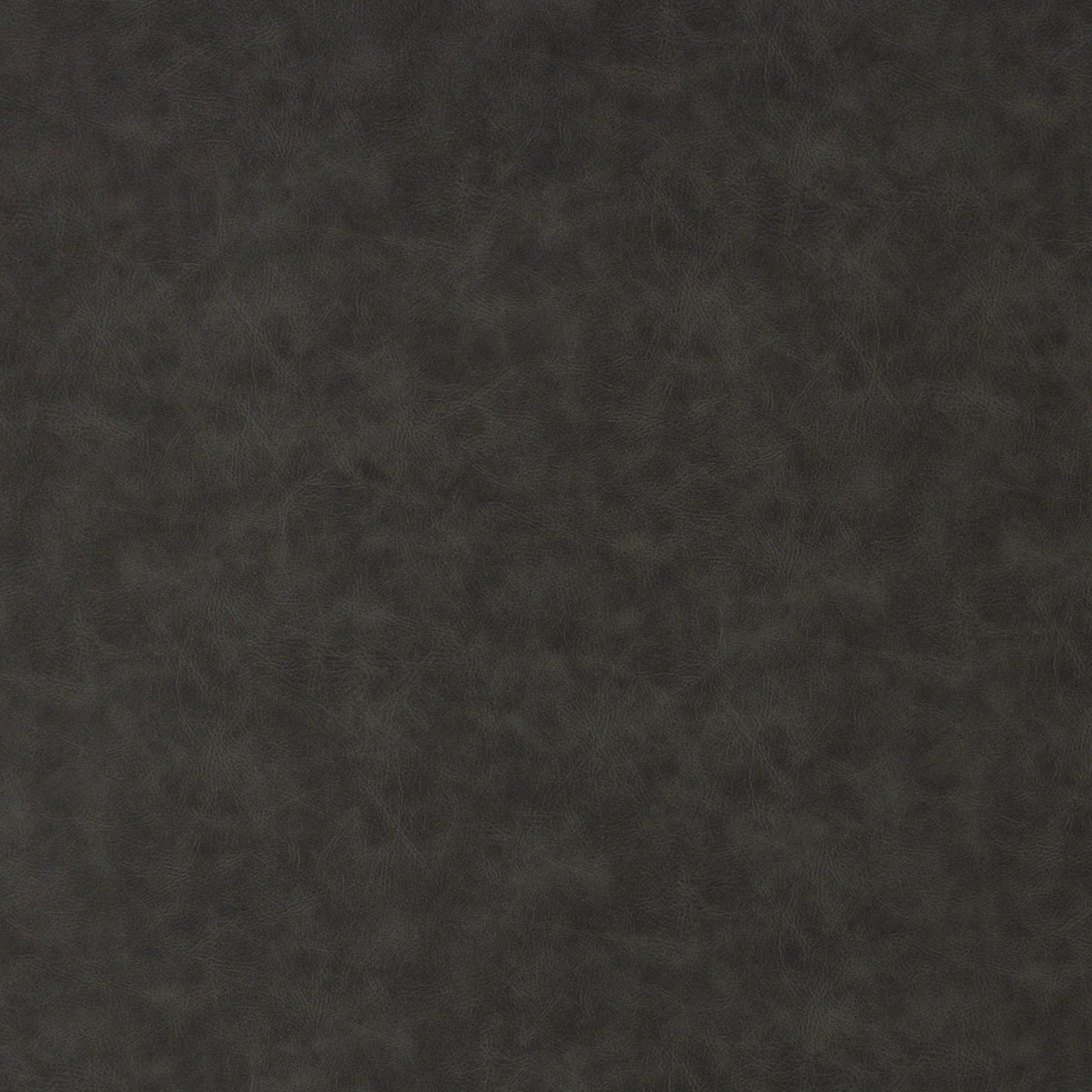Richloom ATTESA - Faux Leather