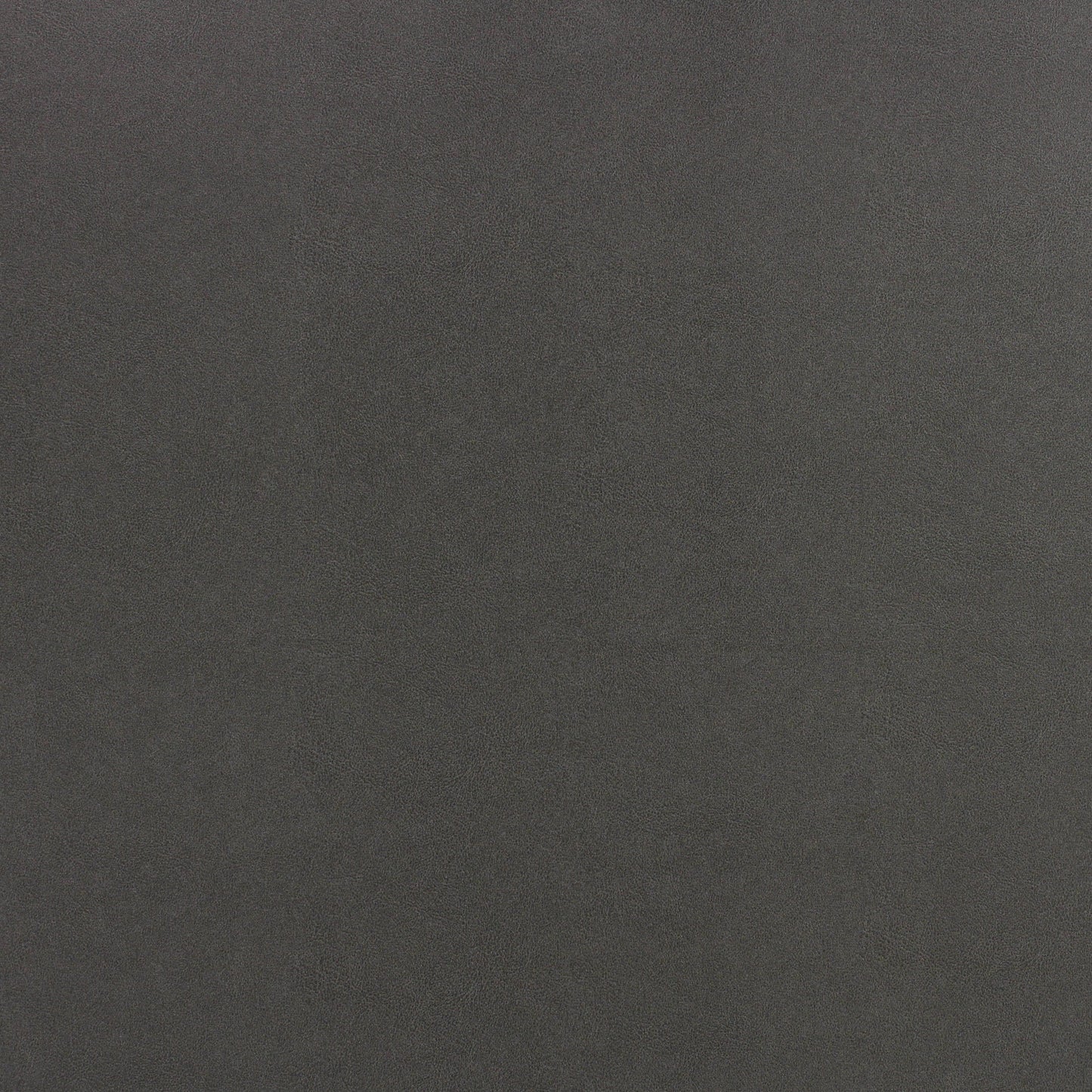 Richloom BRANIFF GRAPHITE - Faux Leather