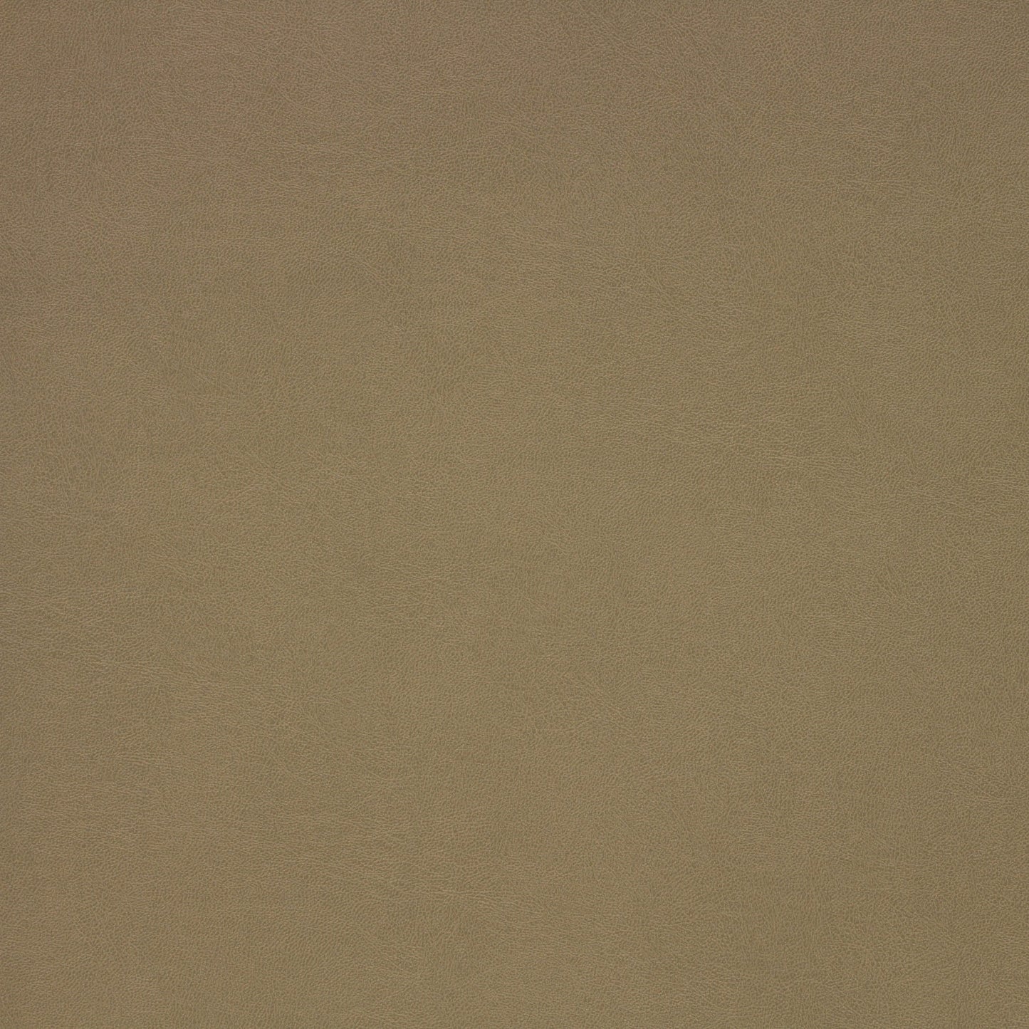 Richloom MUSKEGON - Faux Leather