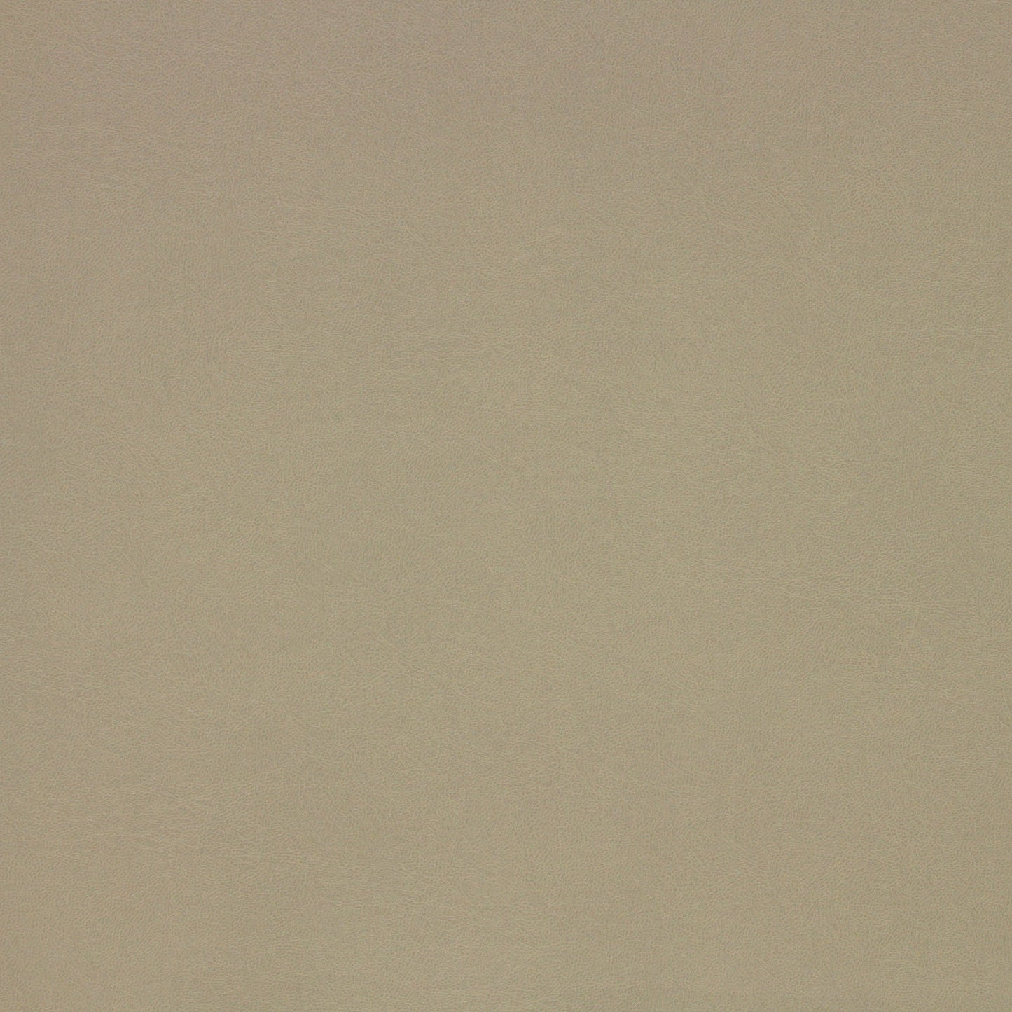 Richloom MUSKEGON - Faux Leather