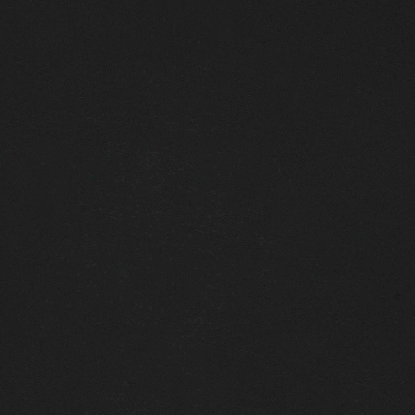 Richloom MUSKEGON - Faux Leather