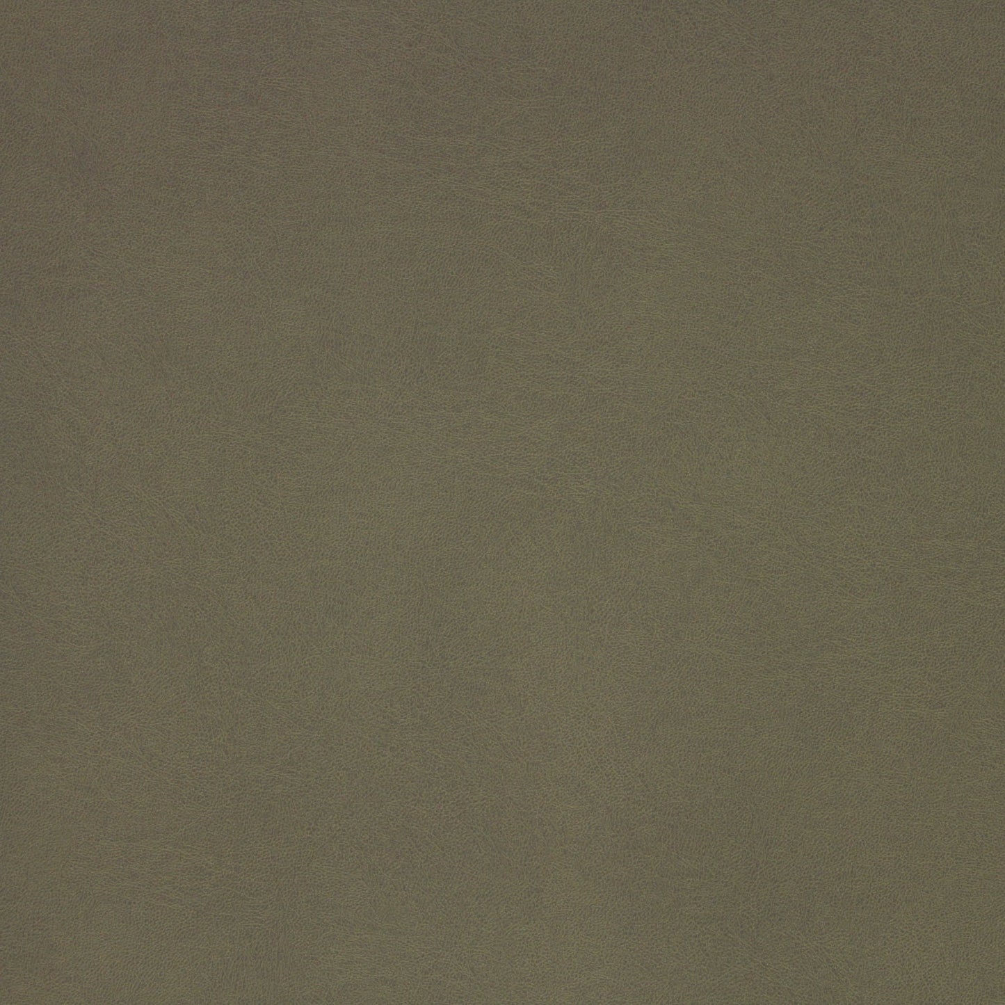 Richloom MUSKEGON - Faux Leather