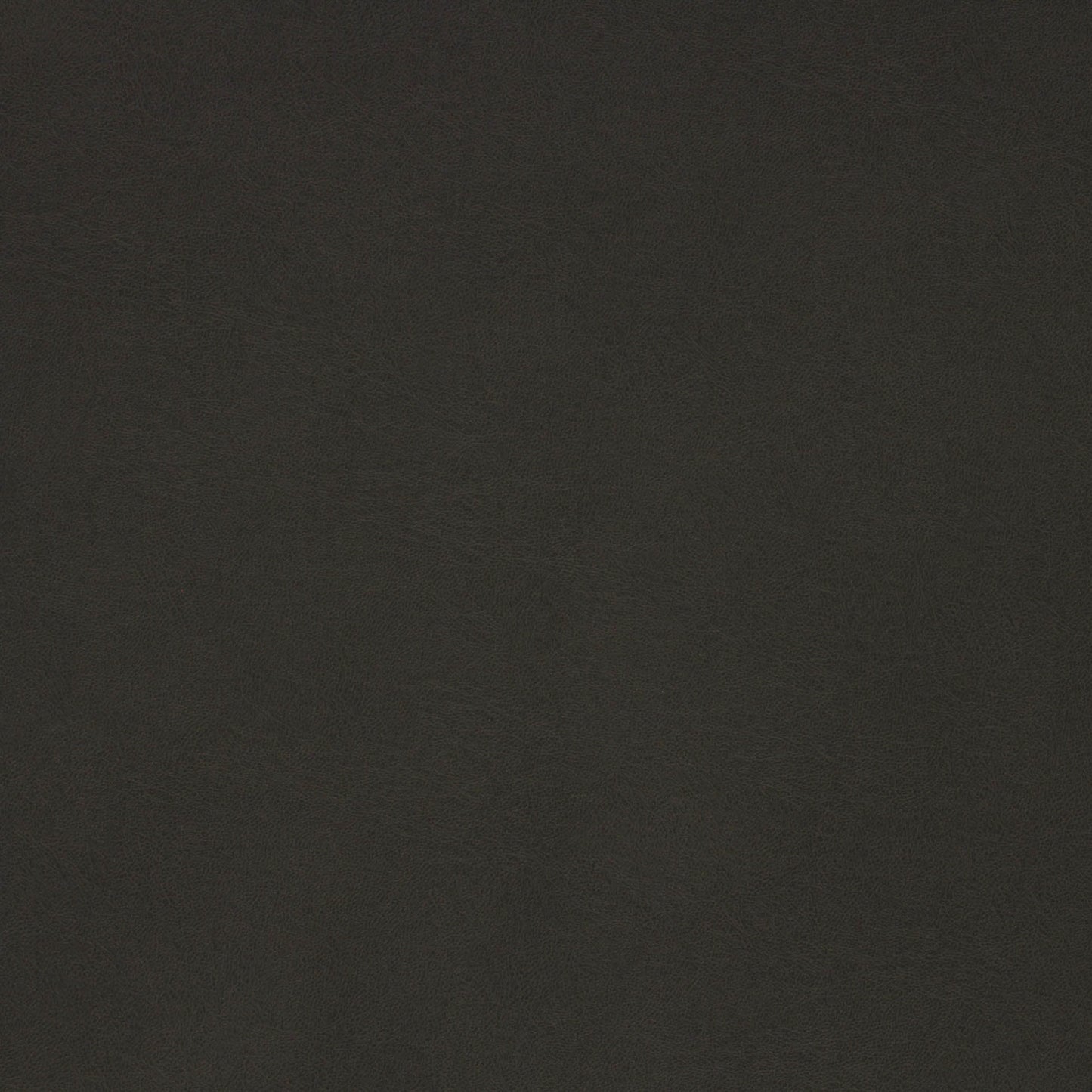 Richloom MUSKEGON - Faux Leather