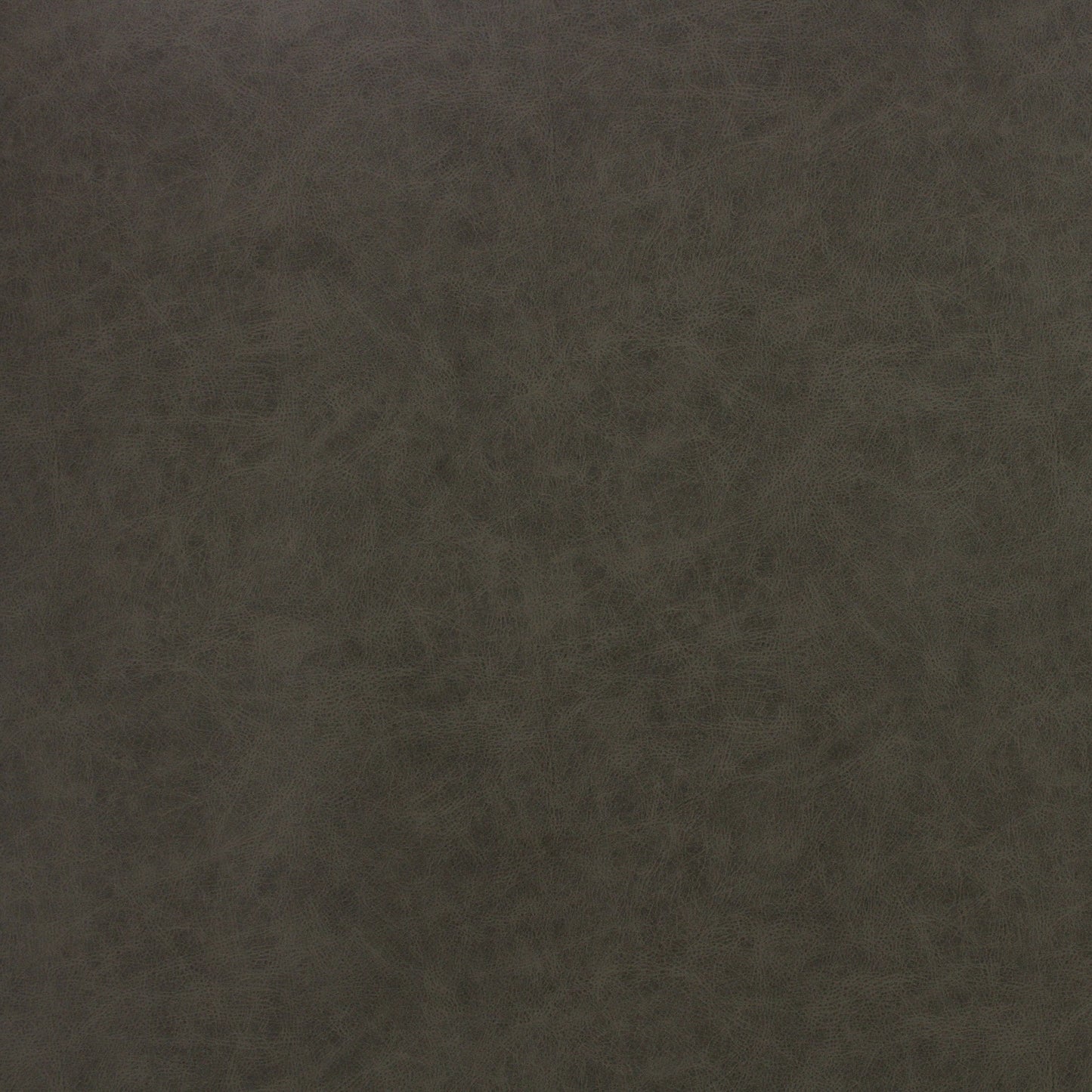Richloom SWITCHBACK SEAL - Faux Leather